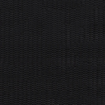 Nylon Webbing – Vision Fabrics
