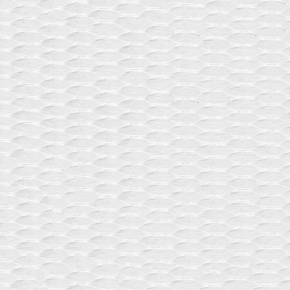 Polyester Webbing – Vision Fabrics